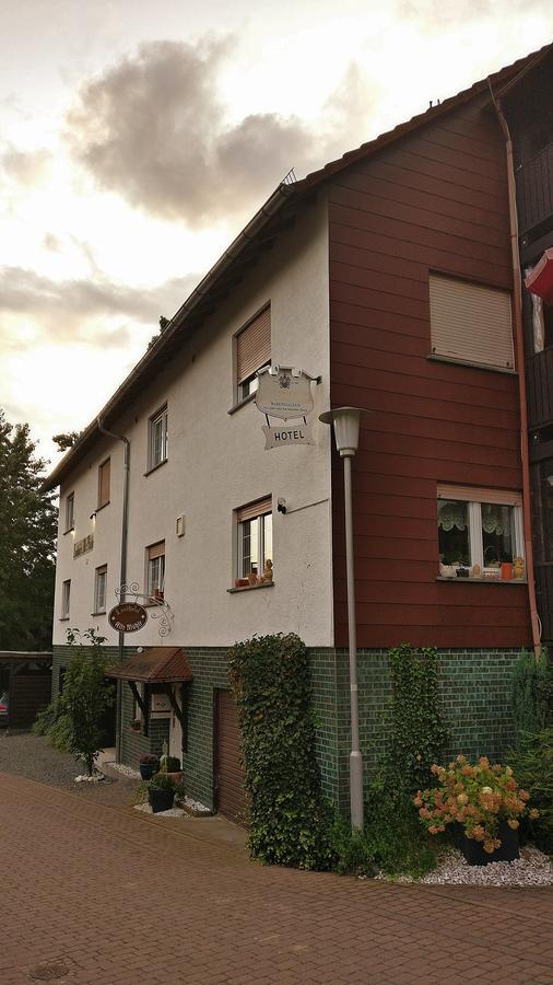 Hotel Alte Muehle 2*